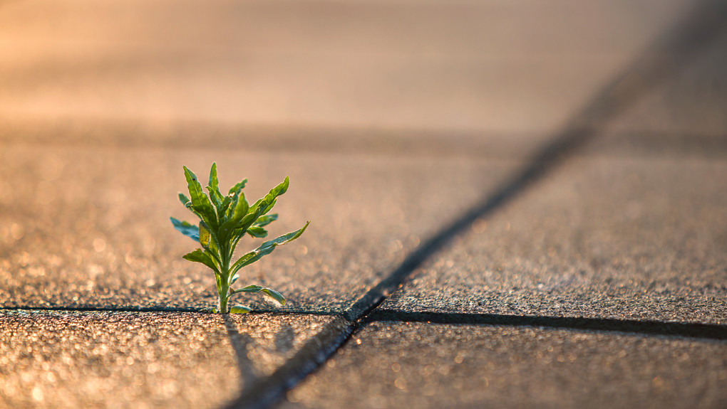 Le marketing responsable, oxymore ou nouveau défi ?