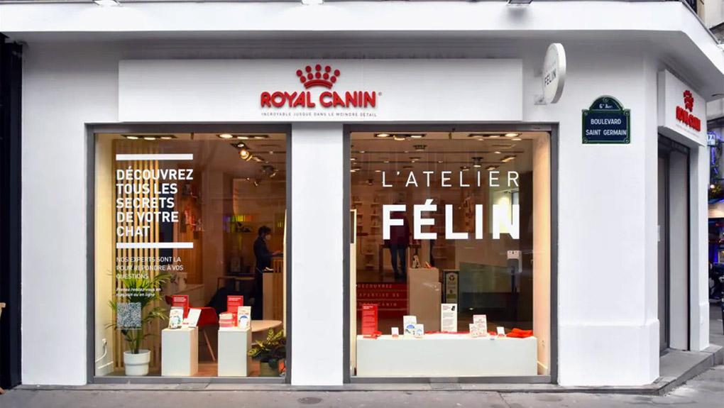 Royal Canin ouvre l’Atelier Félin, un magasin dédié aux chats