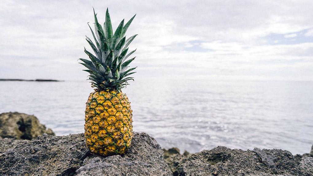 Retargeting : l’île de la Réunion récompensée pour sa campagne alléchante !