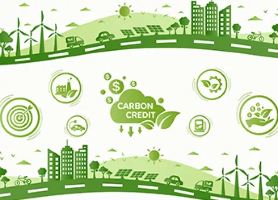 Le fonds « carbone et biodiversité » de la BSCC
