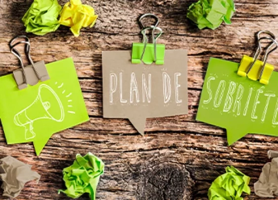 Sur un fond en bois texturé, il y a trois morceaux de papier avec des pinces de couleur verte. L'un montre une icône de mégaphone, tandis que les deux autres portent les mots "PLAN DE" et "SOBRIÉTÉ" écrits en lettres blanches.