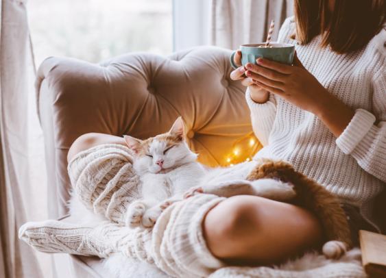 Sobriété énergétique : ces marques qui aident leurs clients à passer l’hiver