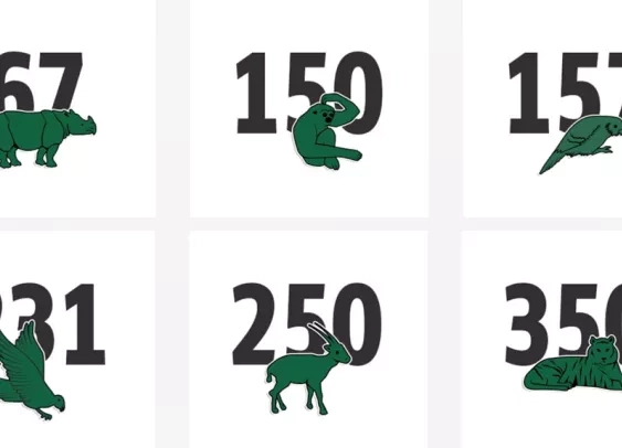 Le crocodile de Lacoste remplacé par des espèces menacées