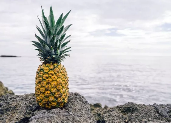 Retargeting : l’île de la Réunion récompensée pour sa campagne alléchante !