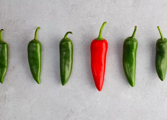 Déstandardisation : comment sortir du copié-collé ?
